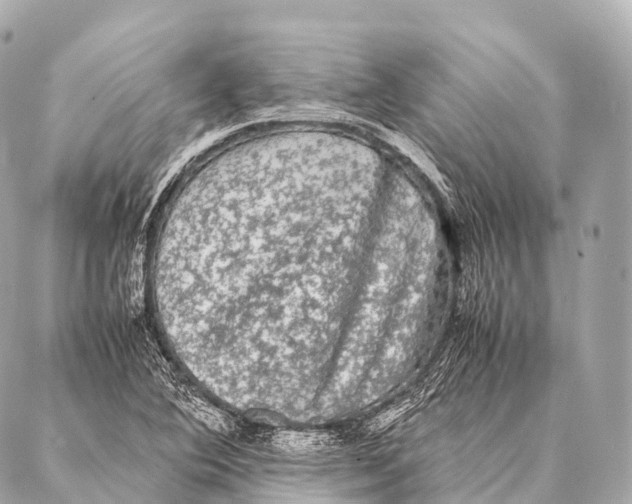 X0000087021364200705141846