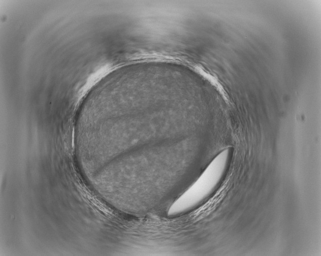 X0000087021365200705141846