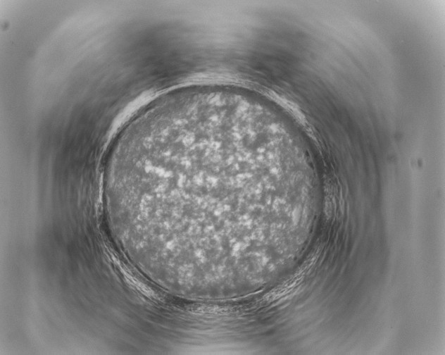 X0000087021366200705141846