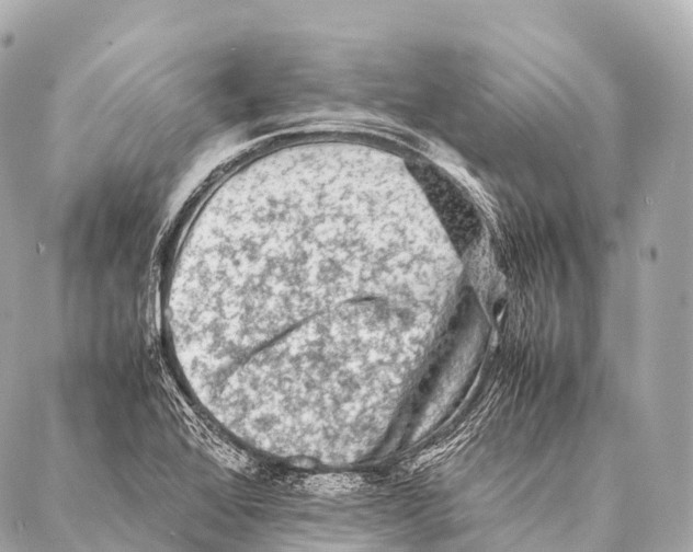 X0000087021368200705141846