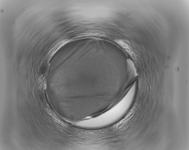 X0000087021369200705141846