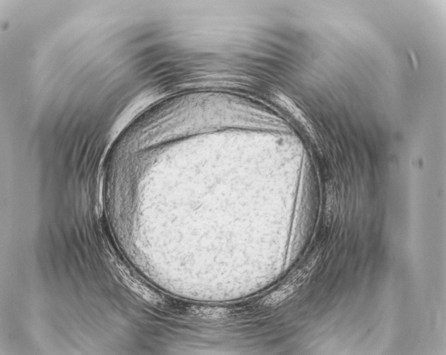 X0000087021370200705141846