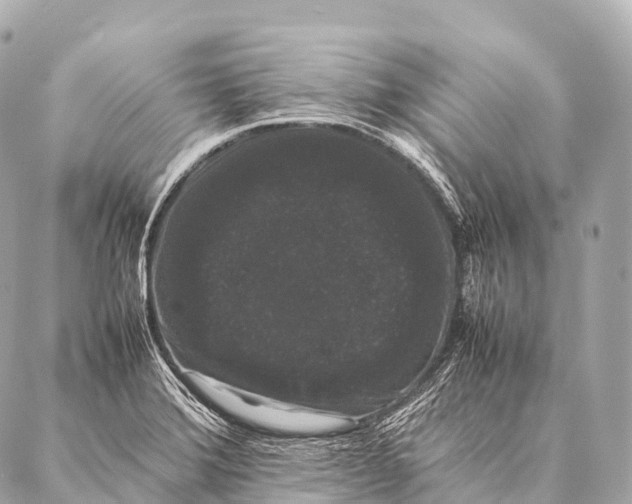 X0000087021372200705141846