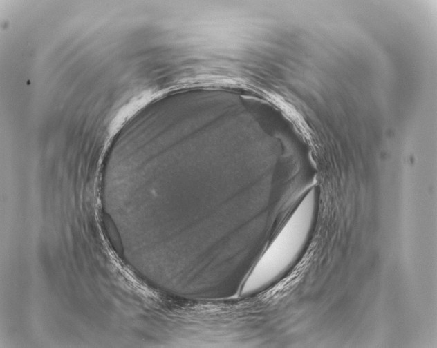 X0000087021373200705141846