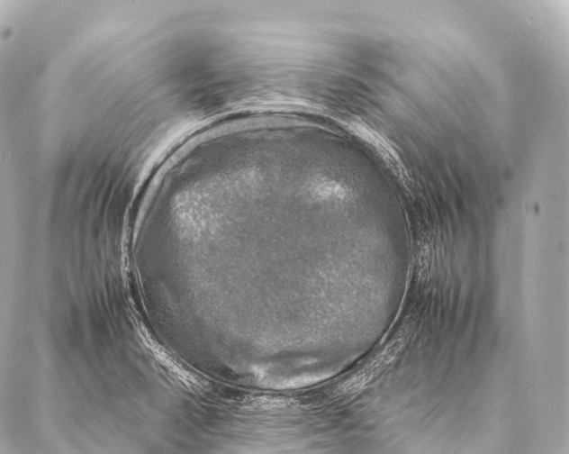 X0000087021374200705141846