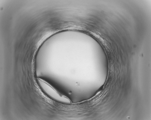 X0000087021375200705141846