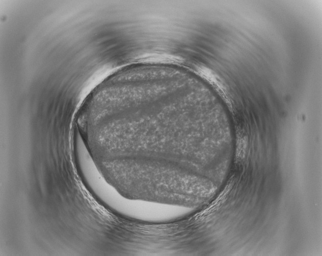 X0000087021376200705141846