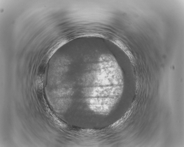 X0000087021377200705141846