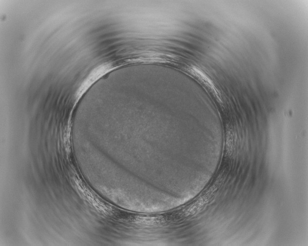 X0000087021378200705141845