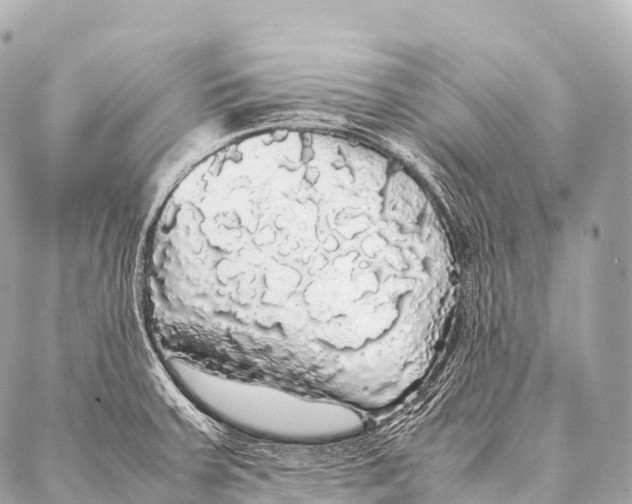 X0000087021379200705141845