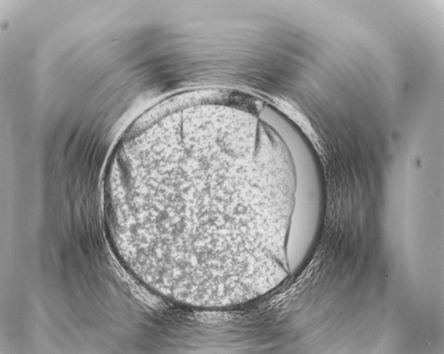 X0000087021380200705141845