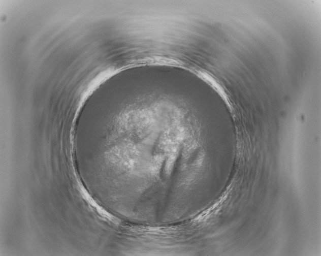 X0000087021381200705141845