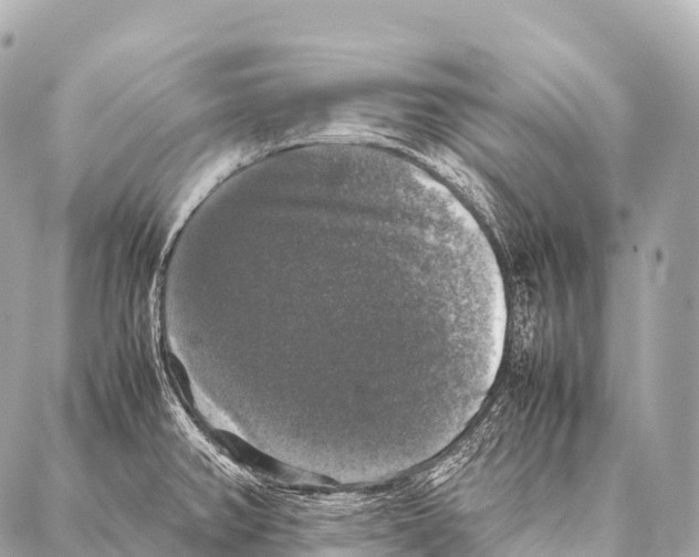 X0000087021382200705141845