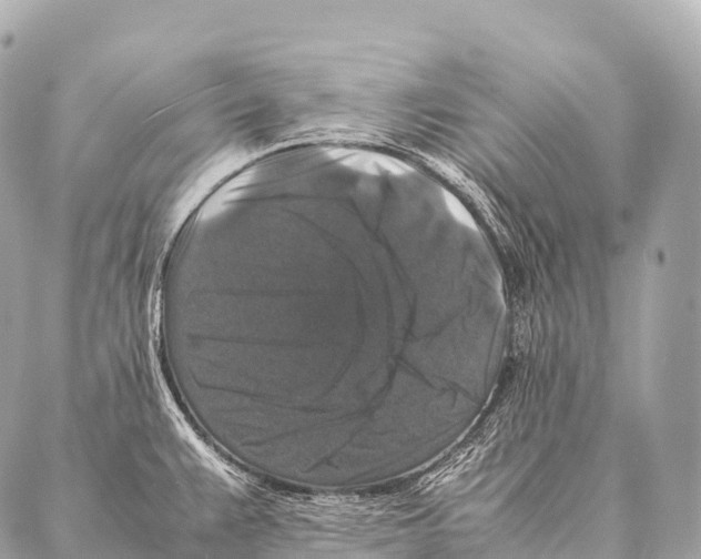 X0000087021383200705141845