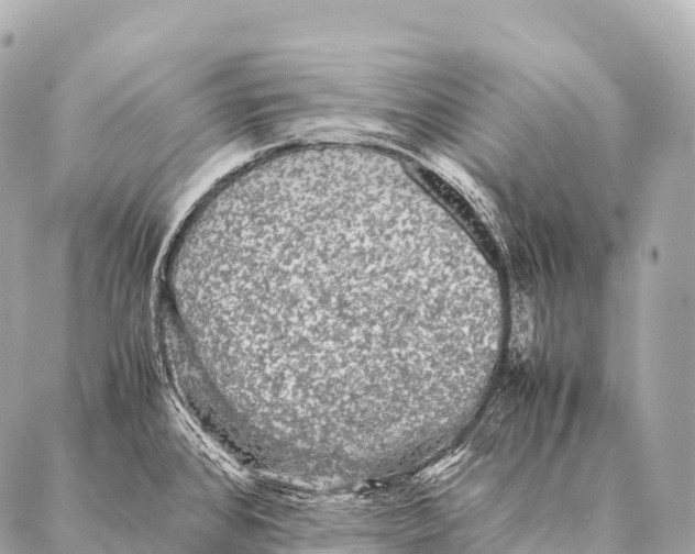 X0000087021384200705141845