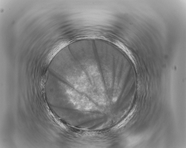 X0000087021385200705141845