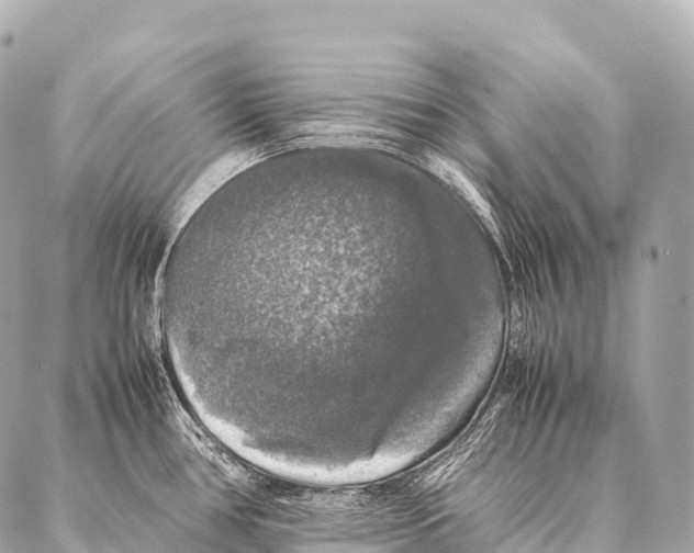 X0000087021386200705141845