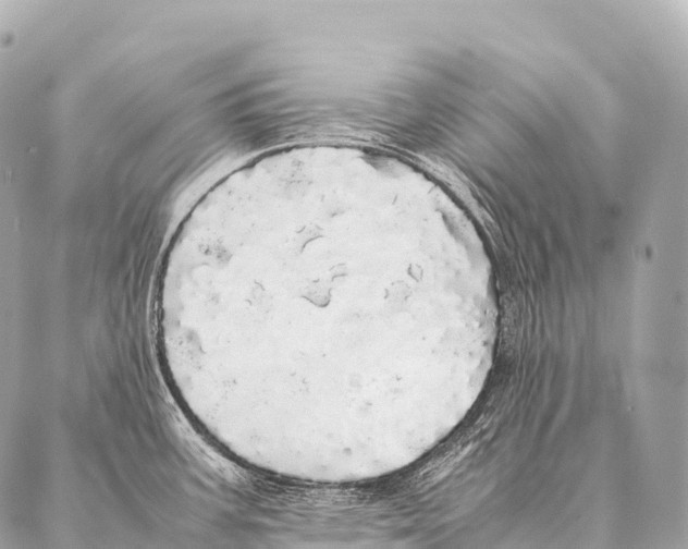 X0000087021387200705141845