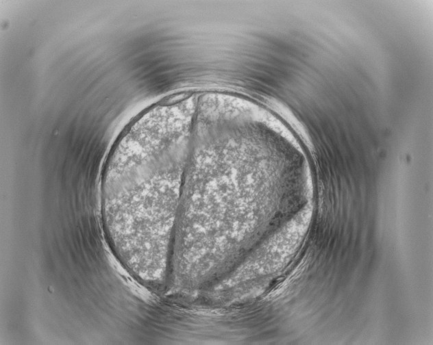 X0000087021388200705141845