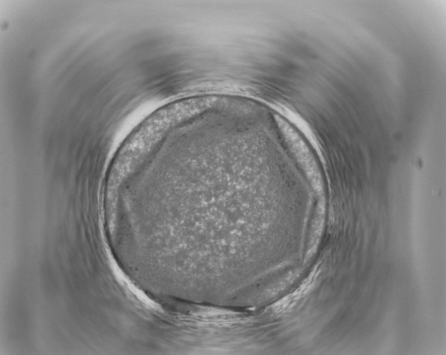 X0000087021389200705141845