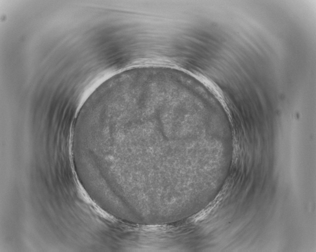 X0000087021390200705141845