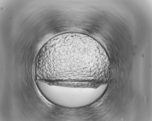 X0000087021391200705141845