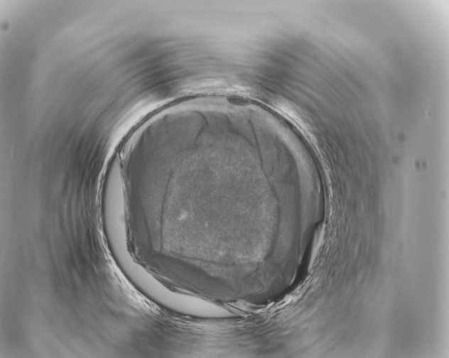 X0000087021392200705141845