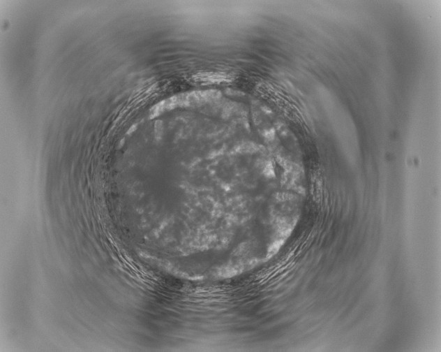 X0000087021393200705141844