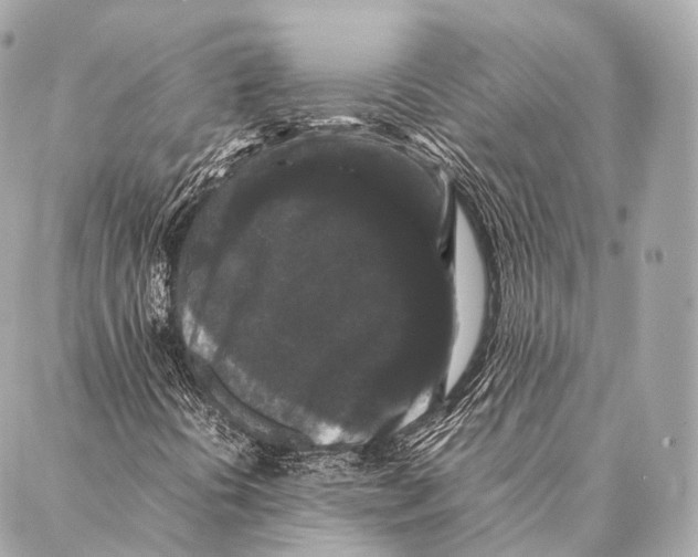 X0000087021394200705141844