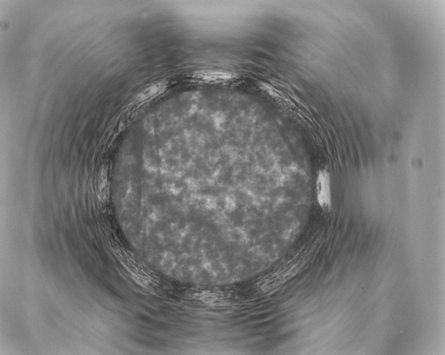 X0000087021395200705141845