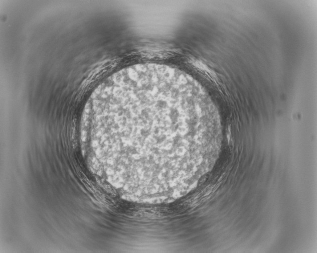 X0000087021396200705141845