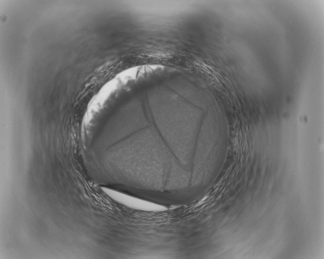 X0000087021397200705141845