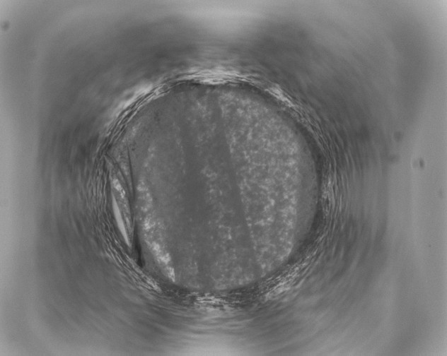 X0000087021398200705141845