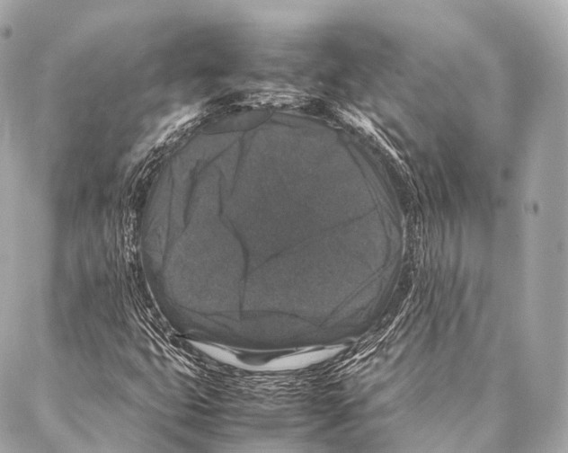 X0000087021399200705141845