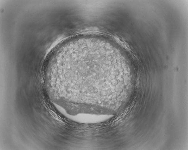 X0000087021400200705141845