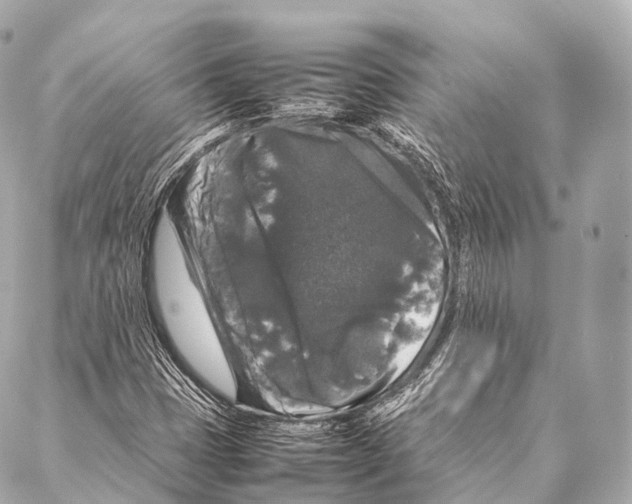 X0000087021401200705141845