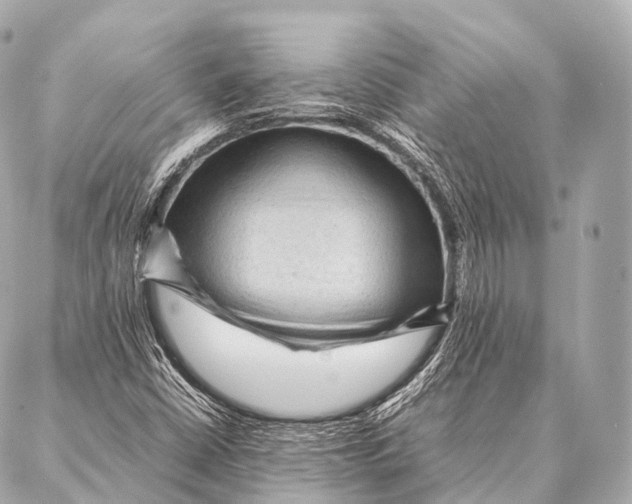 X0000087021402200705141845