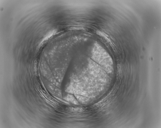 X0000087021403200705141845