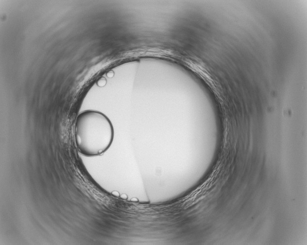 X0000087021404200705141845