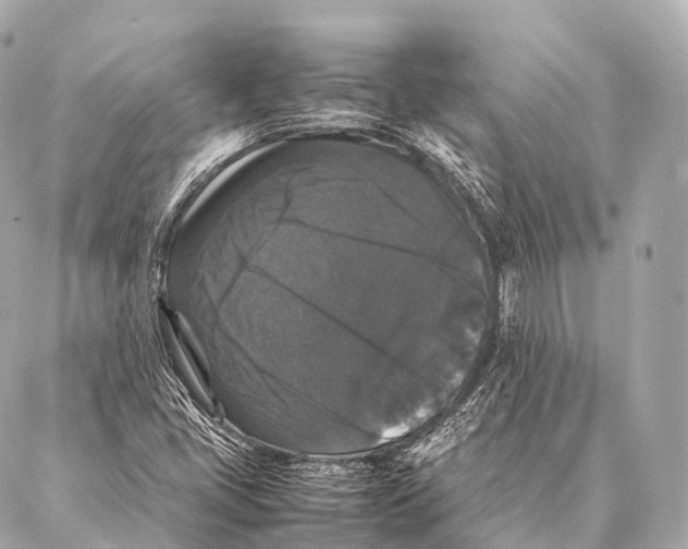 X0000087021405200705141845