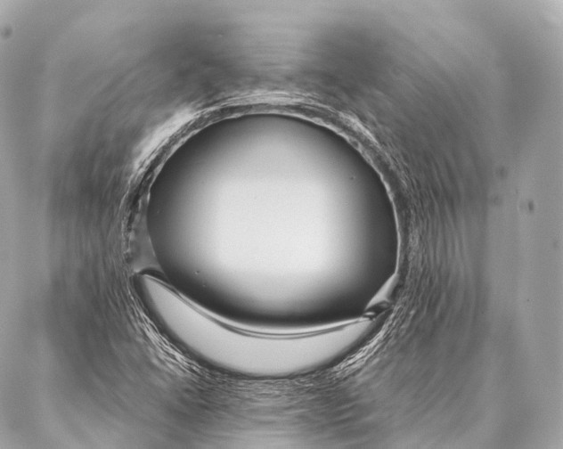 X0000087021406200705141845