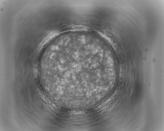 X0000087021407200705141845