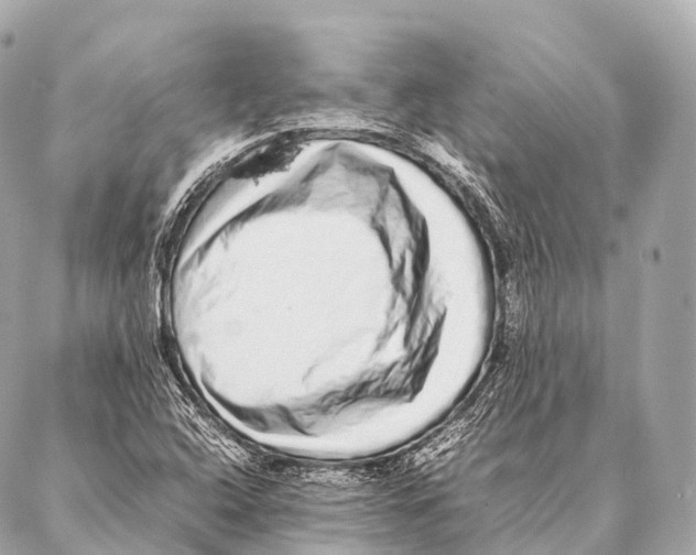 X0000087021408200705141845