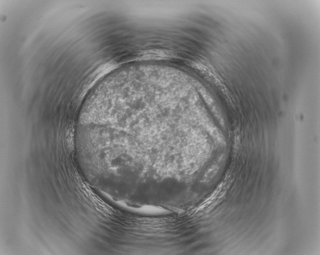 X0000087021409200705141845