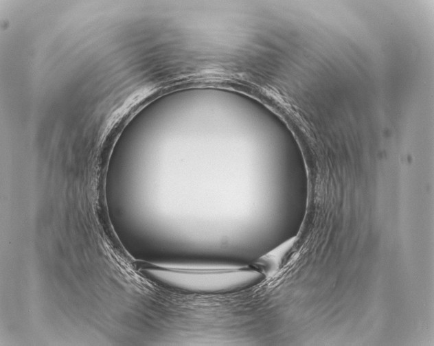 X0000087021410200705141845