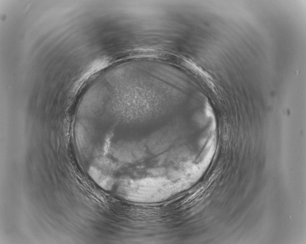 X0000087021411200705141845