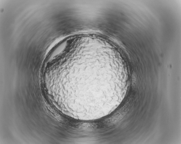 X0000087021412200705141845