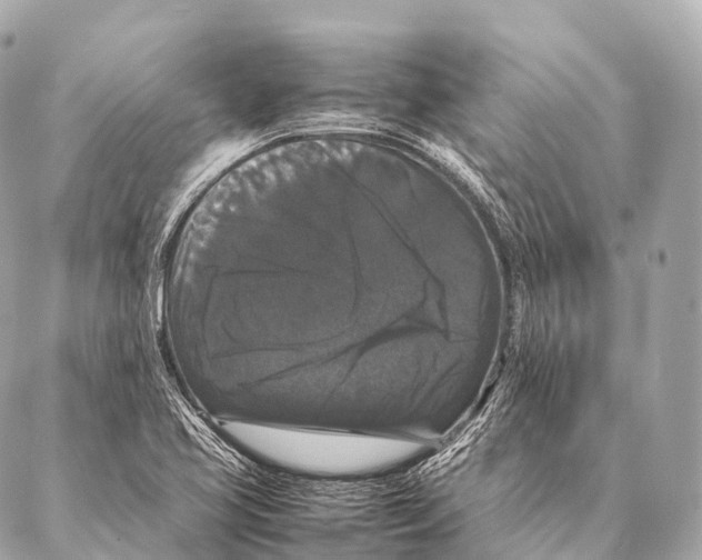 X0000087021413200705141845