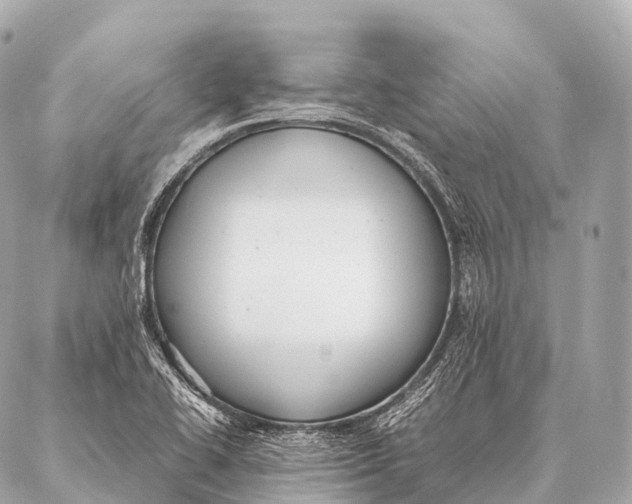 X0000087021414200705141845