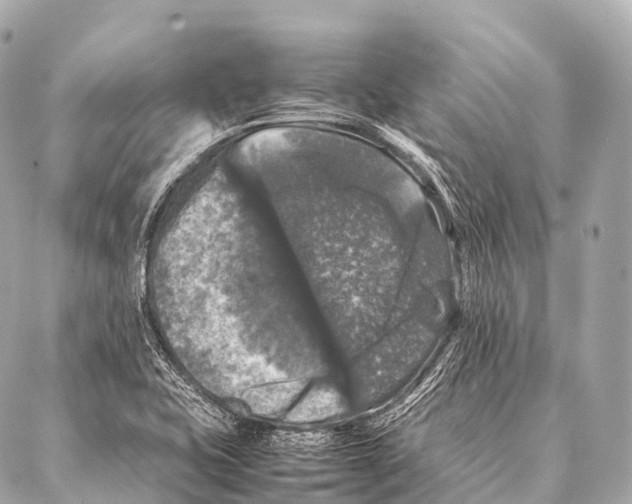 X0000087021415200705141845